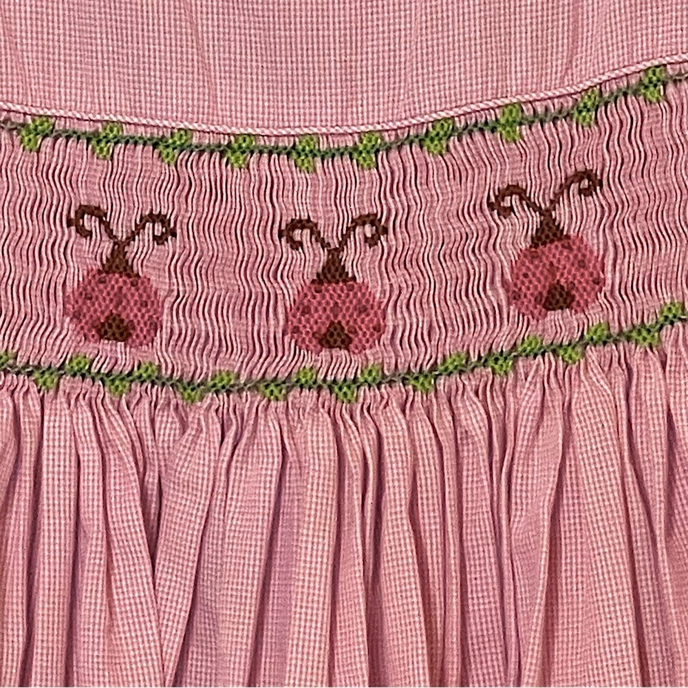 Silly Goose Pink Mini Check Hand Smocked Sleeveless Dress Sz 5 Lady Bug - Picture 8 of 9